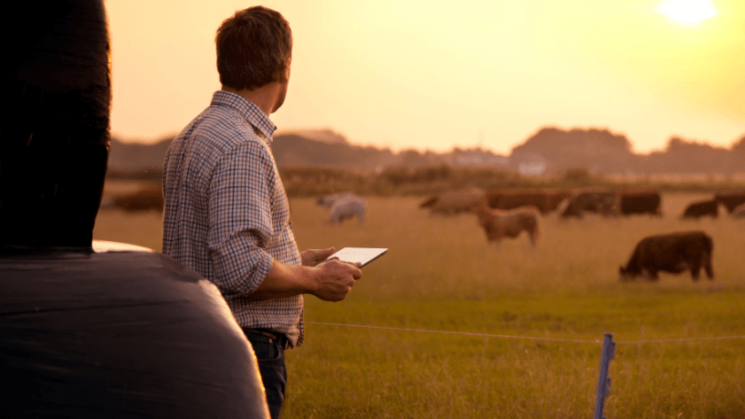 Como a tecnologia aplicada ao controle sanitário do rebanho fortalece, segundo João Eustáquio De Almeida Junior, a saúde animal e a produtividade.