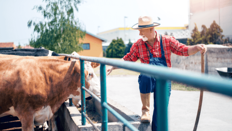 João Eustáquio De Almeida Junior analisa como o controle sanitário do rebanho, apoiado por tecnologia, se tornou um fator estratégico para a saúde animal e melhores resultados produtivos.